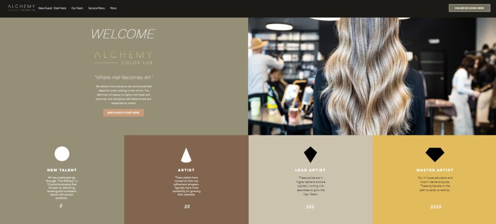 salon brand examples